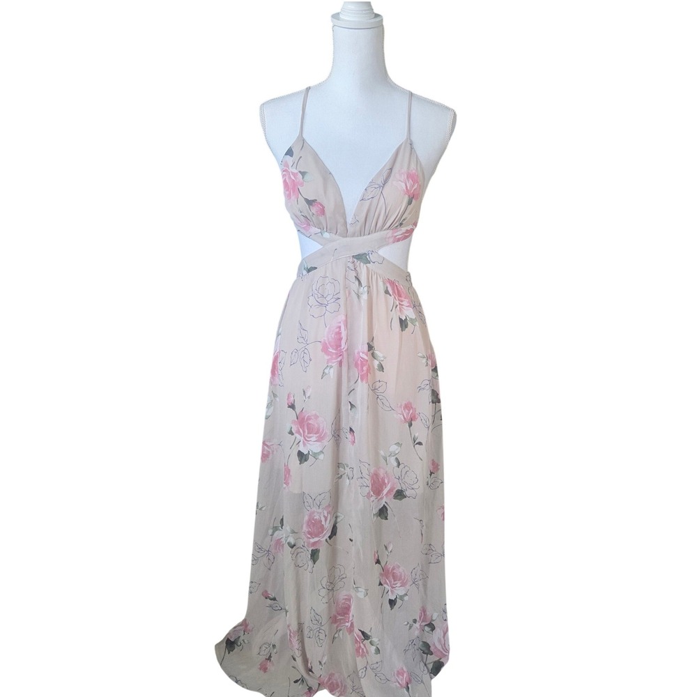 Coquette Floral Sheer Cutout Maxi Dress Backless Cottagecore Garden Party Small